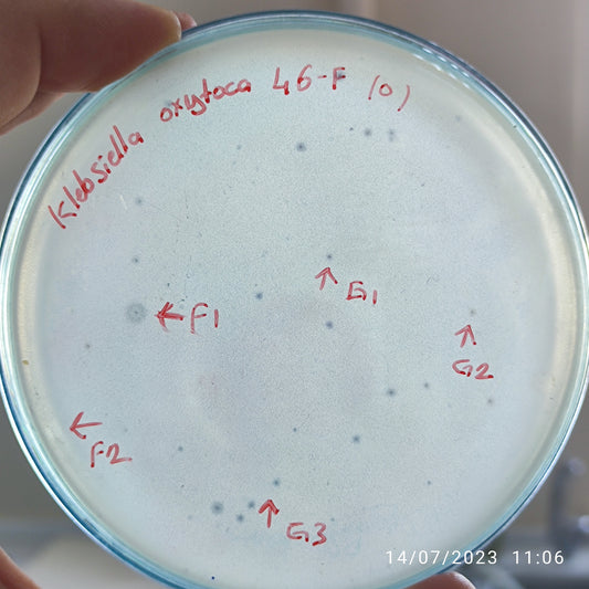 Klebsiella oxytoca bacteriophage 188046F