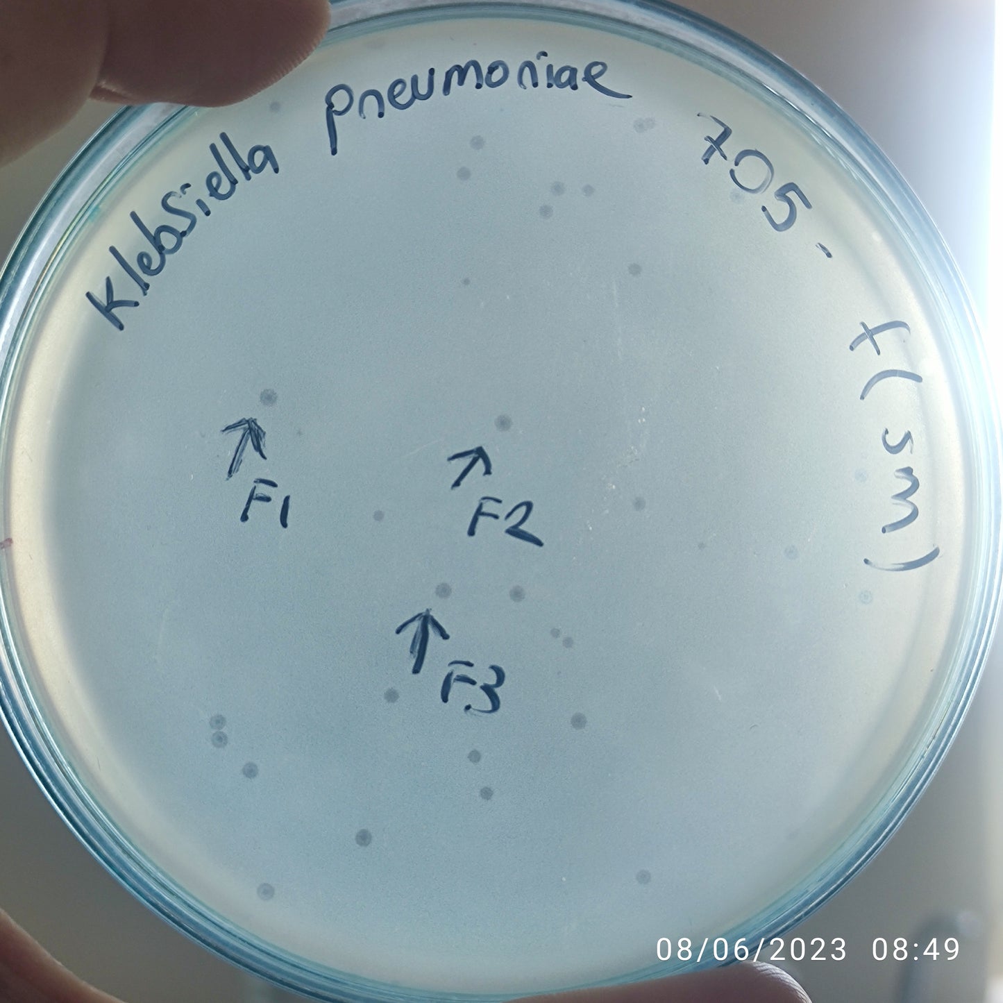 Klebsiella pneumoniae bacteriophage 180705F