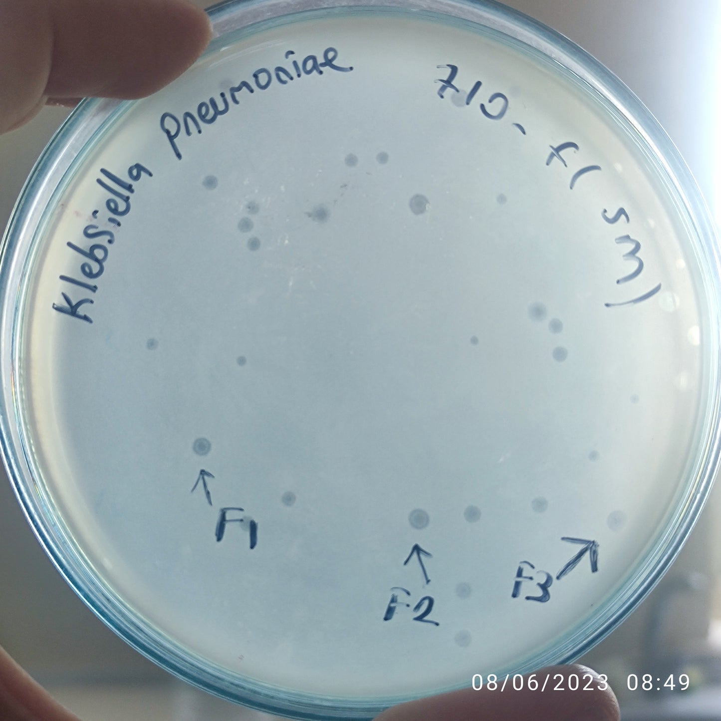 Klebsiella pneumoniae bacteriophage 180710F