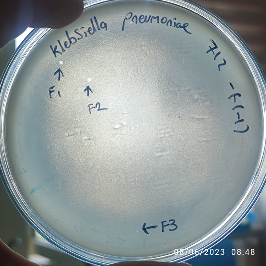 Klebsiella pneumoniae bacteriophage 180712F