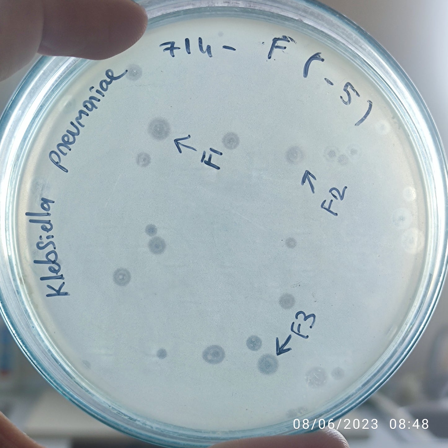 Klebsiella pneumoniae bacteriophage 180714F