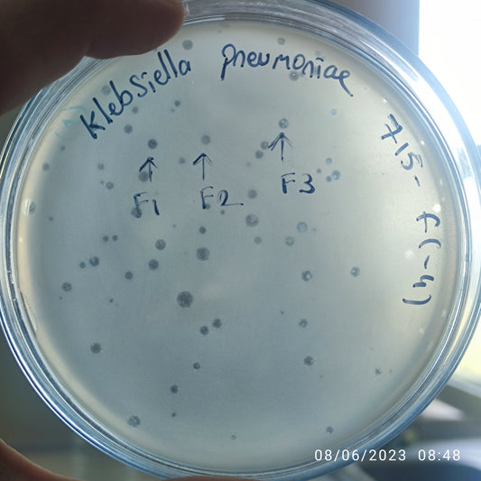 Klebsiella pneumoniae bacteriophage 180715F