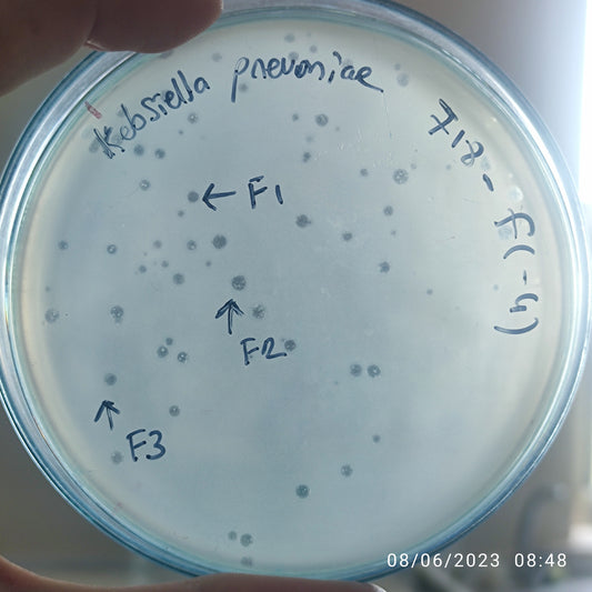 Klebsiella pneumoniae bacteriophage 180718F