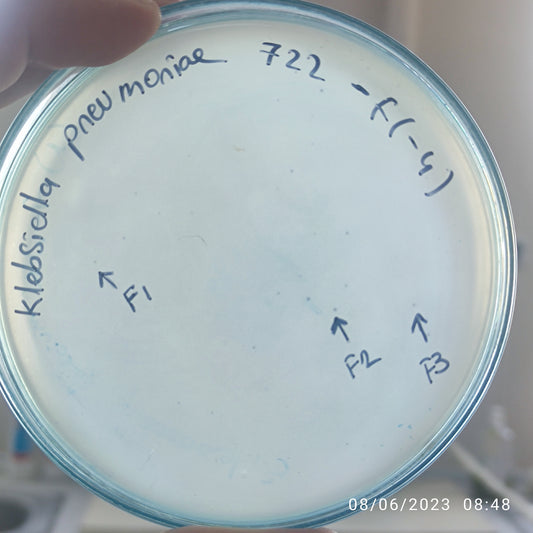 Klebsiella pneumoniae bacteriophage 180722F