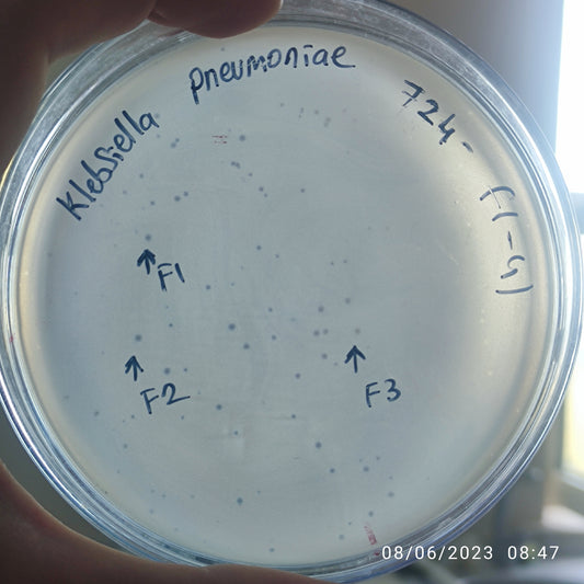 Klebsiella pneumoniae bacteriophage 180724F