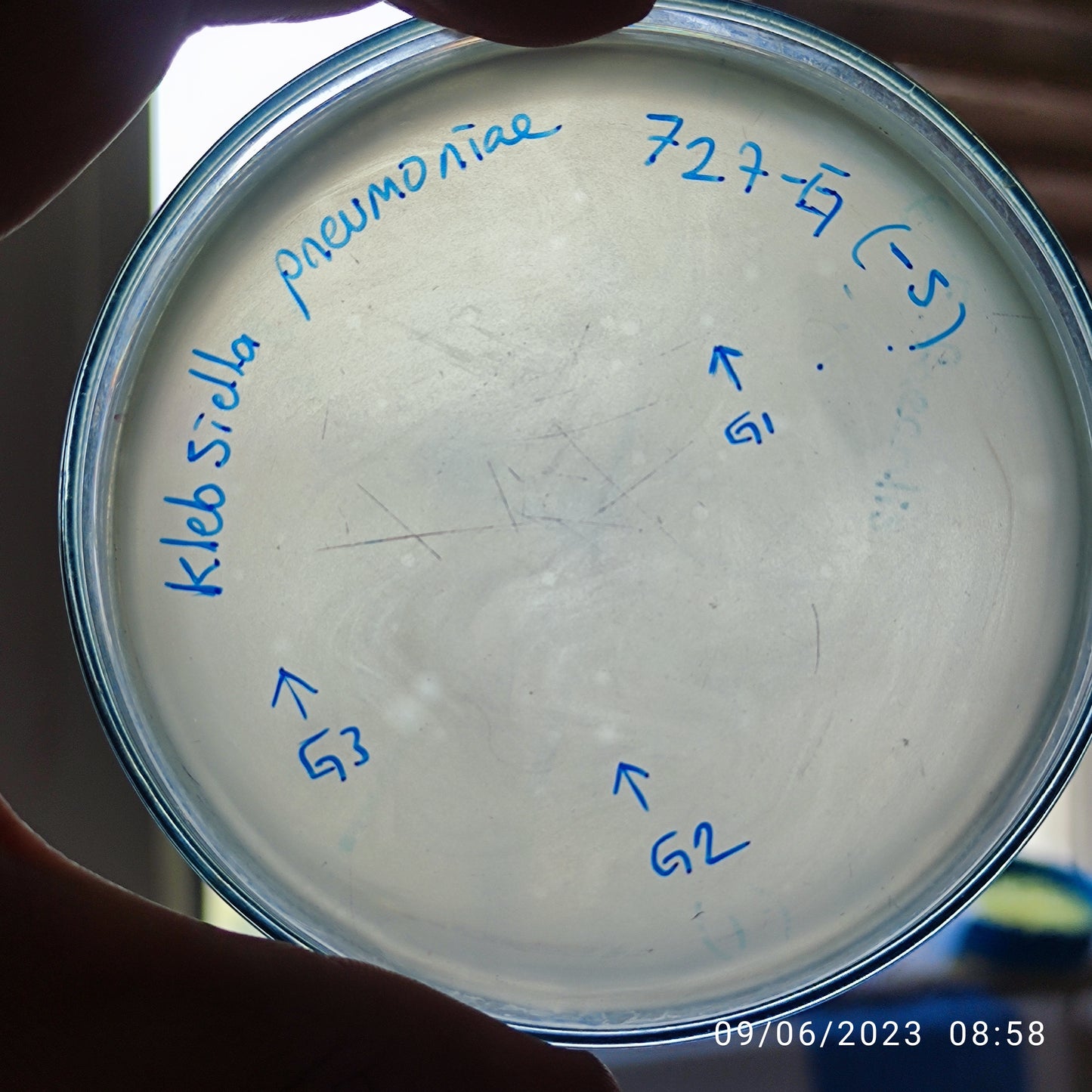 Klebsiella pneumoniae bacteriophage 180727G