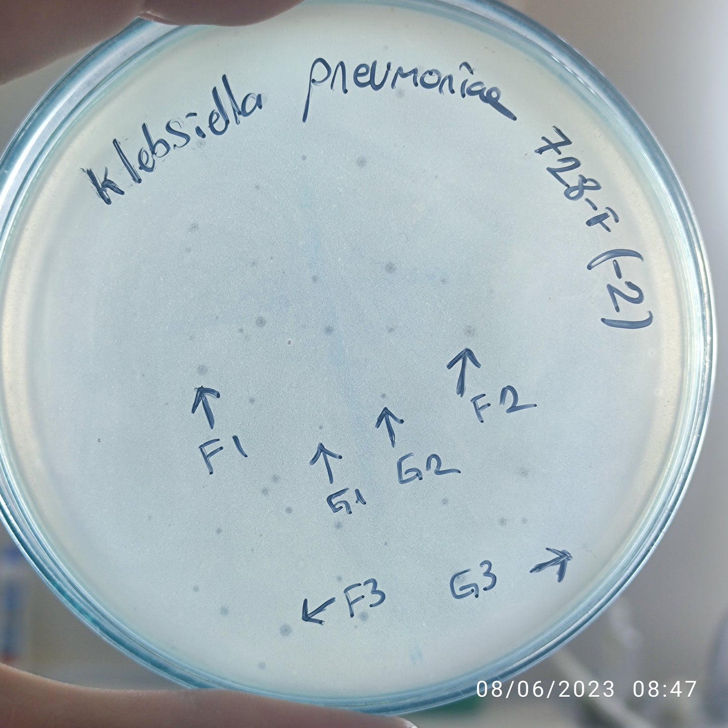 Klebsiella pneumoniae bacteriophage 180728F