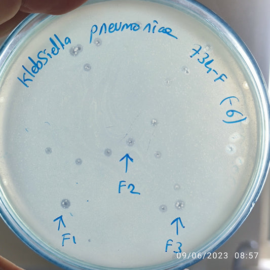 Klebsiella pneumoniae bacteriophage 180734F