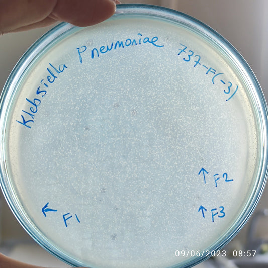 Klebsiella pneumoniae bacteriophage 180737F