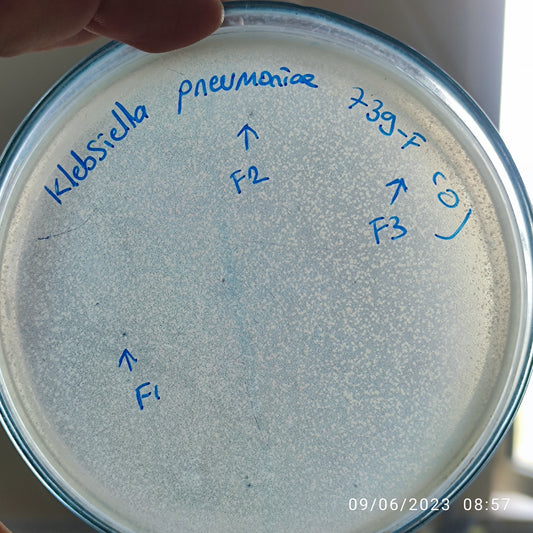 Klebsiella pneumoniae bacteriophage 180739F