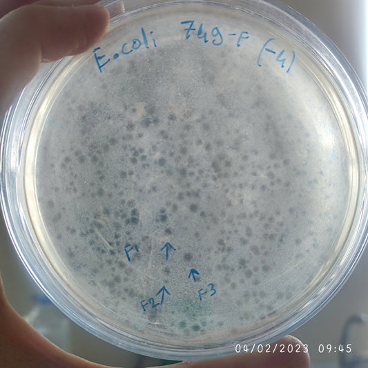 Escherichia coli bacteriophage 100749F
