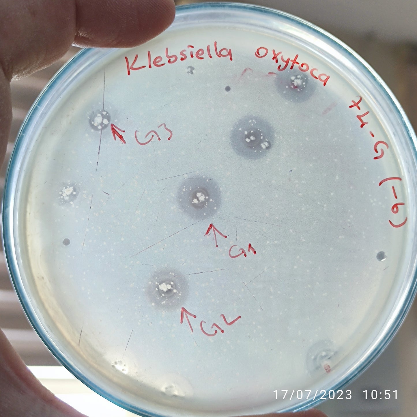 Klebsiella oxytoca bacteriophage 188074G