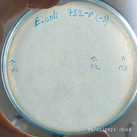 Escherichia coli bacteriophage 100752F