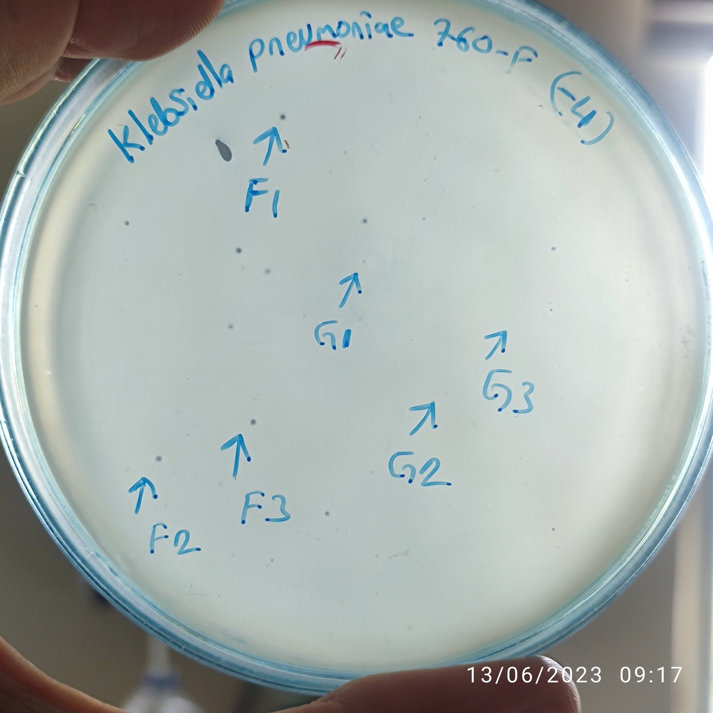 Klebsiella pneumoniae bacteriophage 180760F