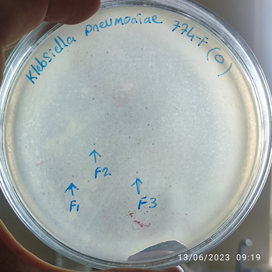 Klebsiella pneumoniae bacteriophage 180774F