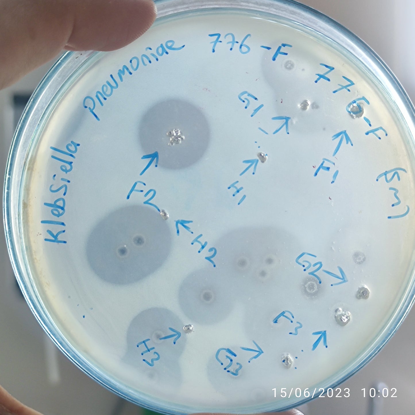 Klebsiella pneumoniae bacteriophage 180776F