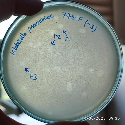 Klebsiella pneumoniae bacteriophage 180778F