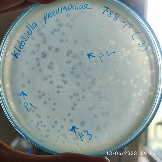 Klebsiella pneumoniae bacteriophage 180788F