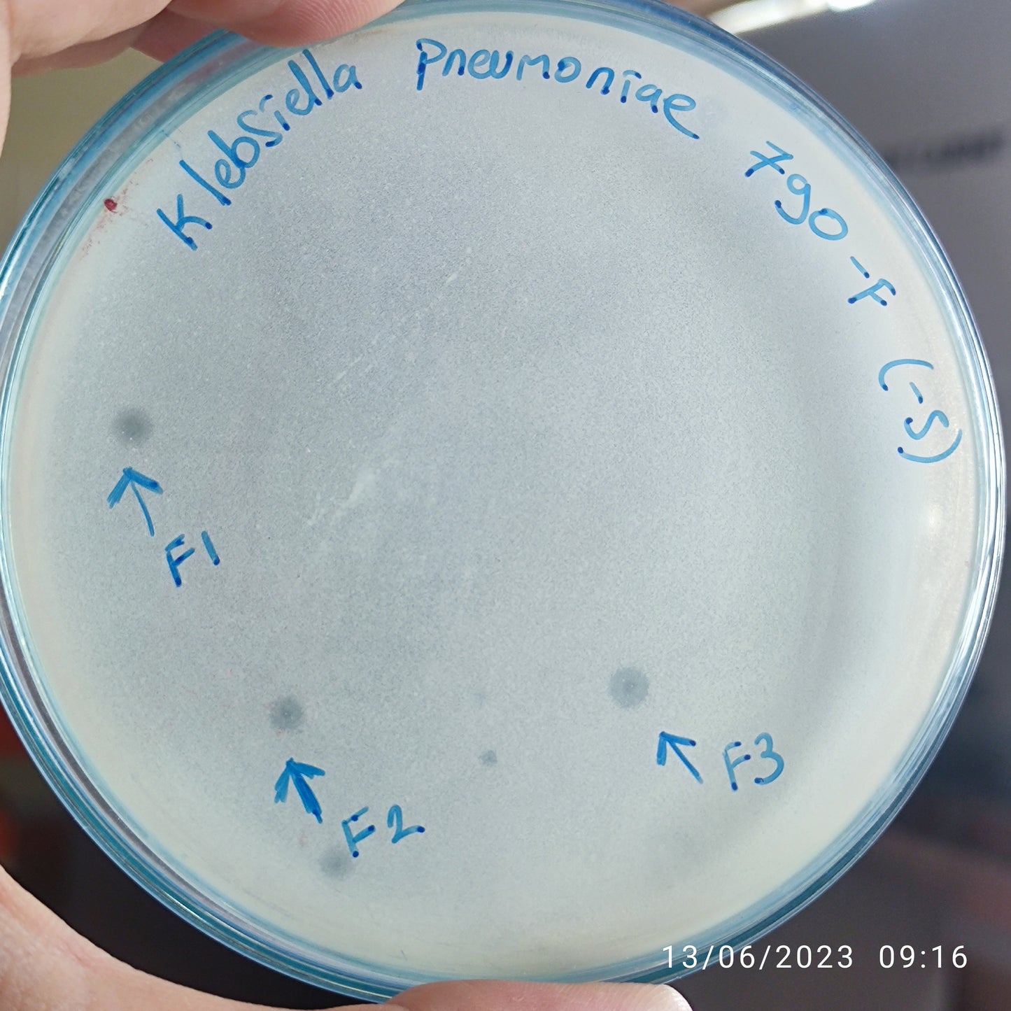 Klebsiella pneumoniae bacteriophage 180790F