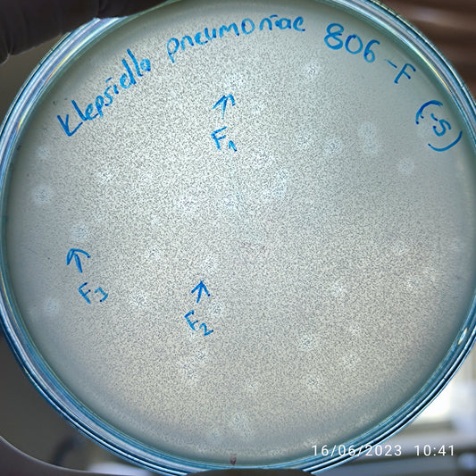 Klebsiella pneumoniae bacteriophage 180806F