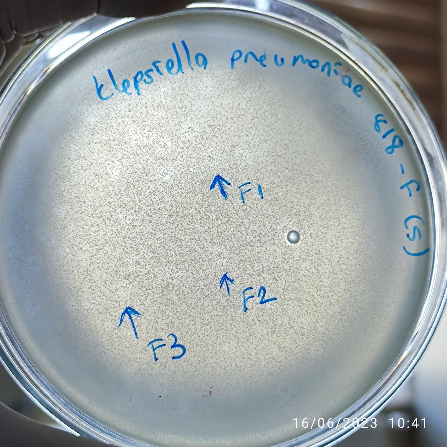 Klebsiella pneumoniae bacteriophage 180818F