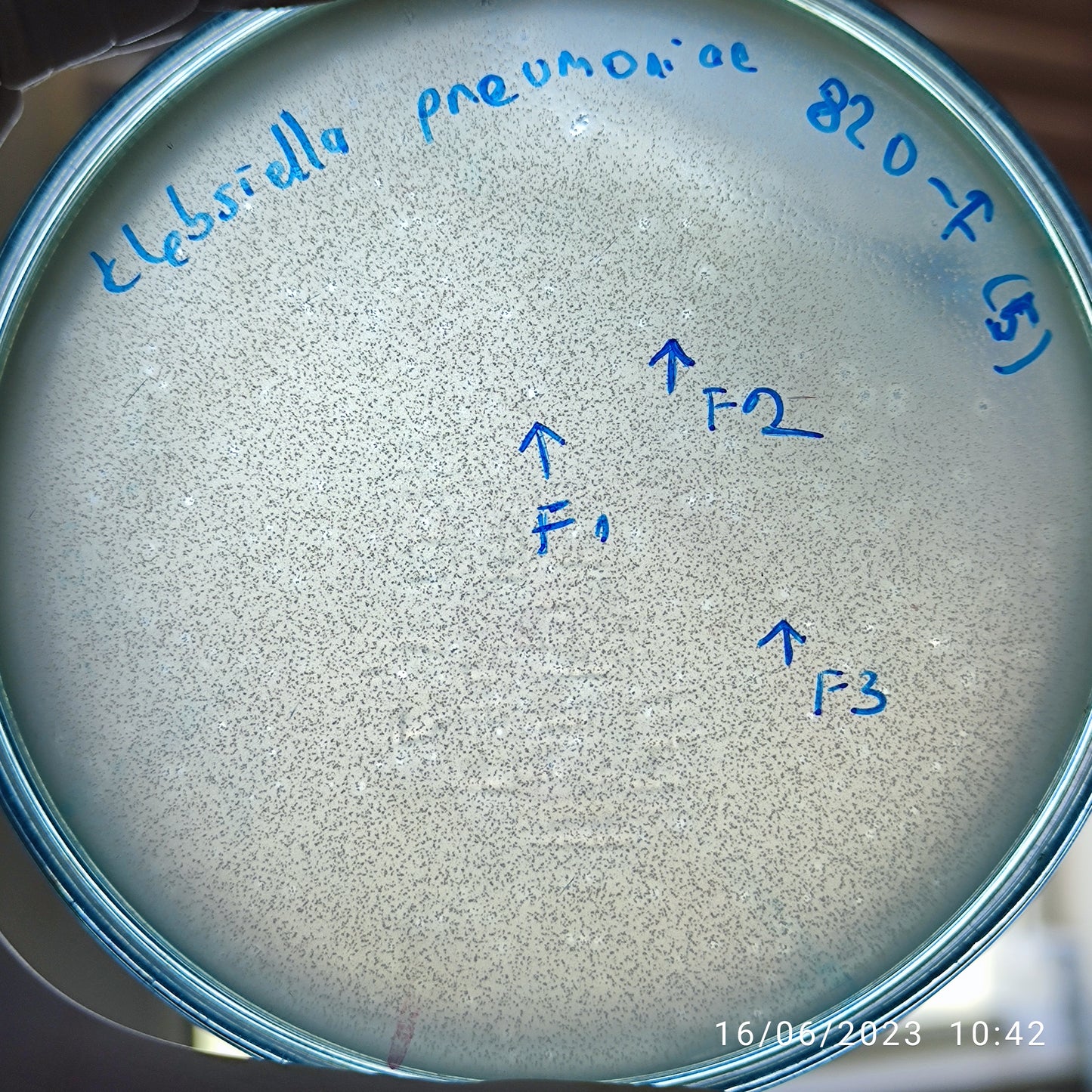 Klebsiella pneumoniae bacteriophage 180820F