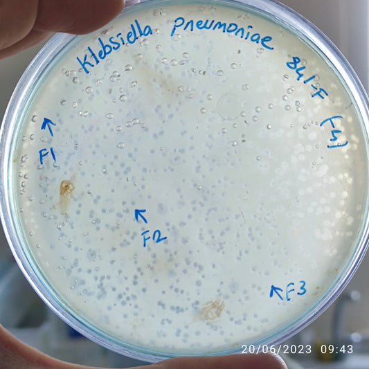 Klebsiella pneumoniae bacteriophage 180841F