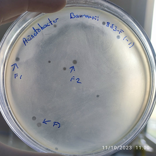 Acinetobacter baumannii bacteriophage 120853F