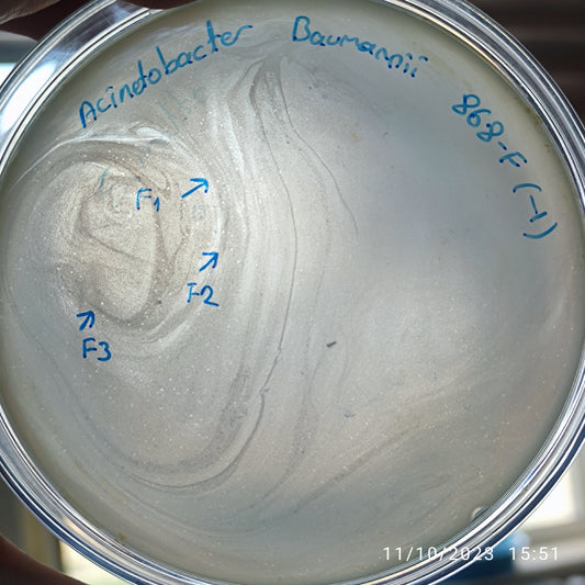 Acinetobacter baumannii bacteriophage 120868F