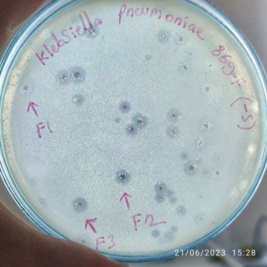 Klebsiella pneumoniae bacteriophage 180869F