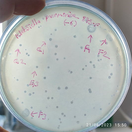 Klebsiella pneumoniae bacteriophage 180875G