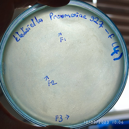Klebsiella pneumoniae bacteriophage 180927F
