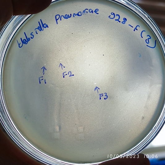 Klebsiella pneumoniae bacteriophage 180928F