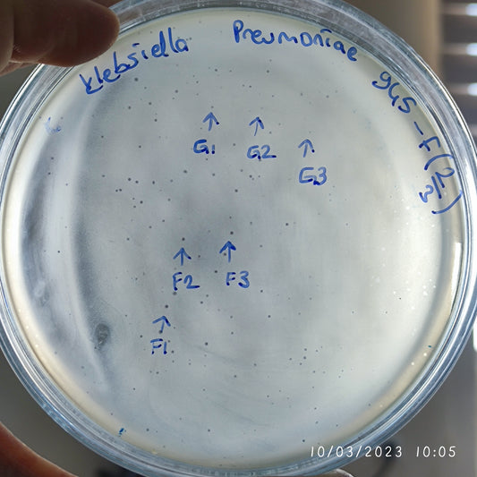 Klebsiella pneumoniae bacteriophage 180945F