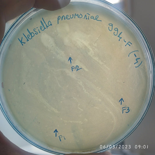Klebsiella pneumoniae bacteriophage 180994F