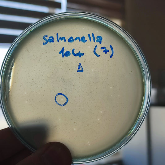 Salmonella bacteriophage 200104D