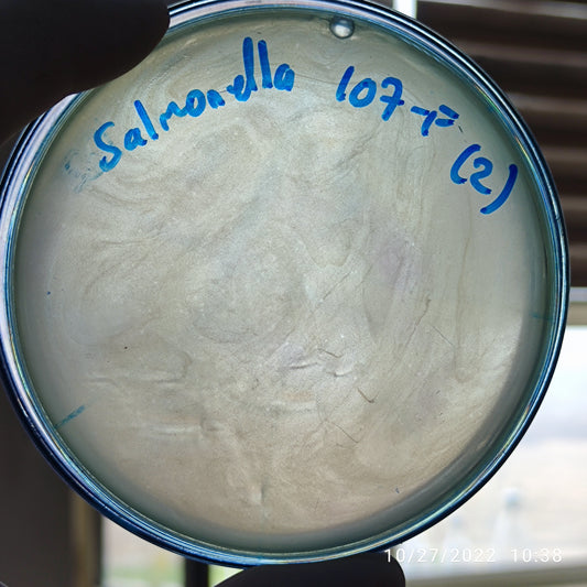 Salmonella bacteriophage 200107F
