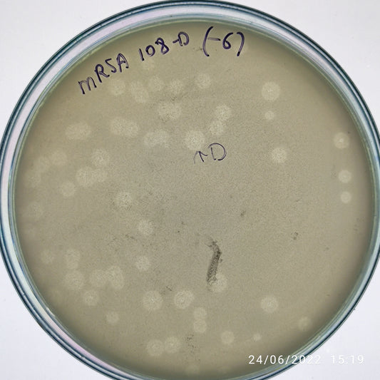 Staphylococcus aureus bacteriophage 150108D