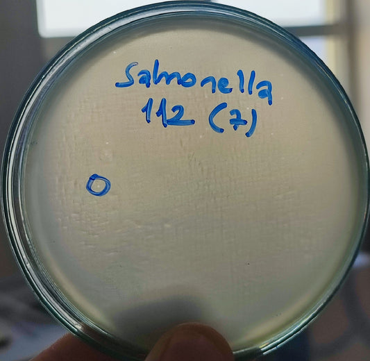 Salmonella bacteriophage 200112D