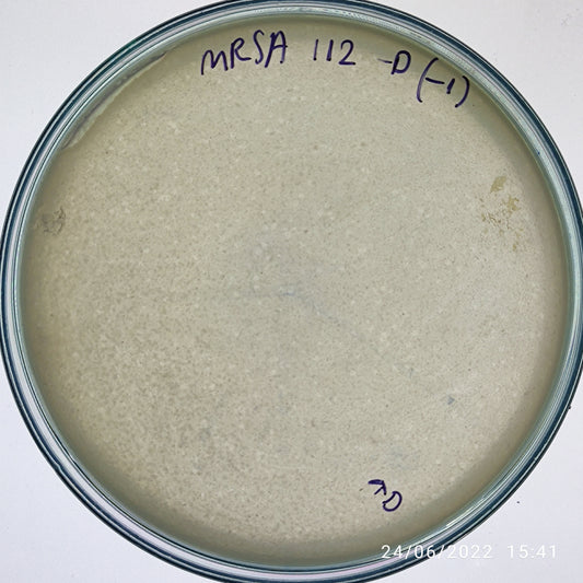 Staphylococcus aureus bacteriophage 150112D