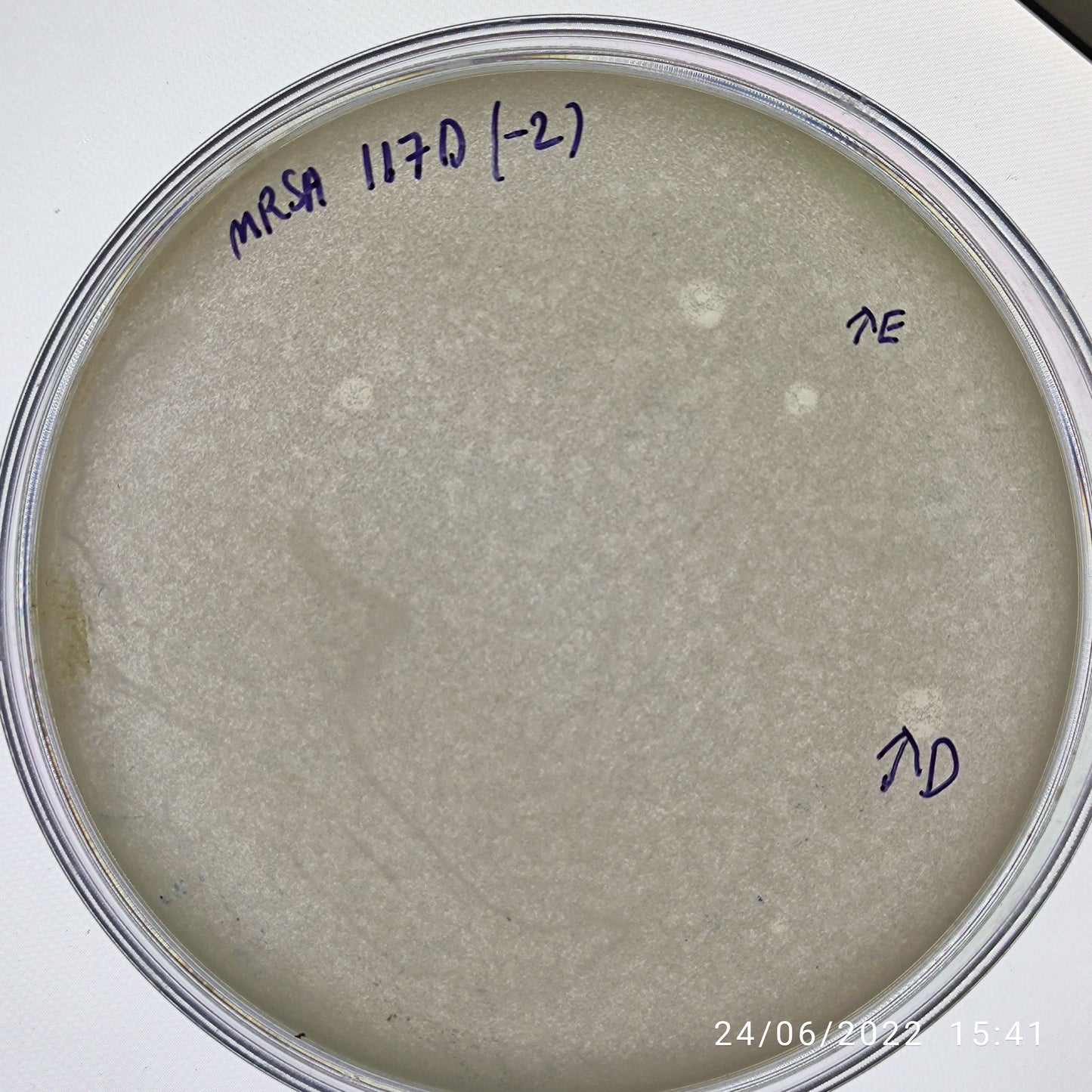 Staphylococcus aureus bacteriophage 150117E
