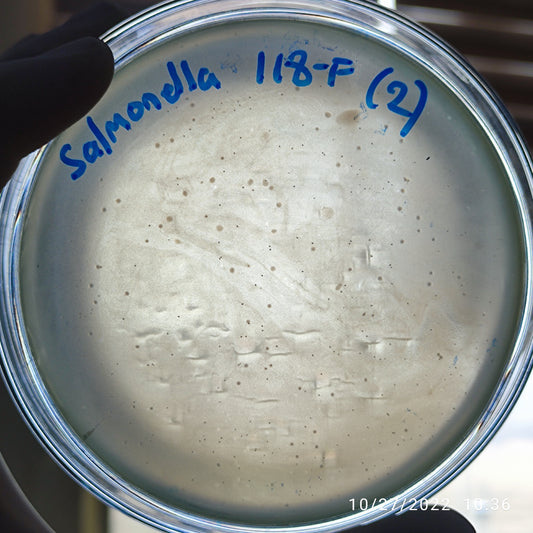 Salmonella bacteriophage 200118F
