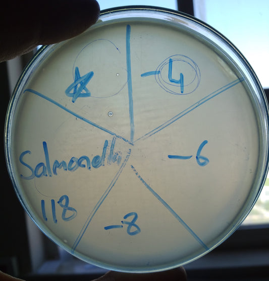 Salmonella bacteriophage 200118A