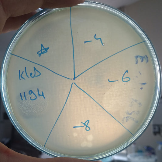 Klebsiella pneumoniae bacteriophage 181194A