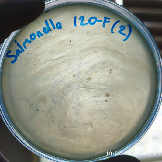 Salmonella bacteriophage 200120F