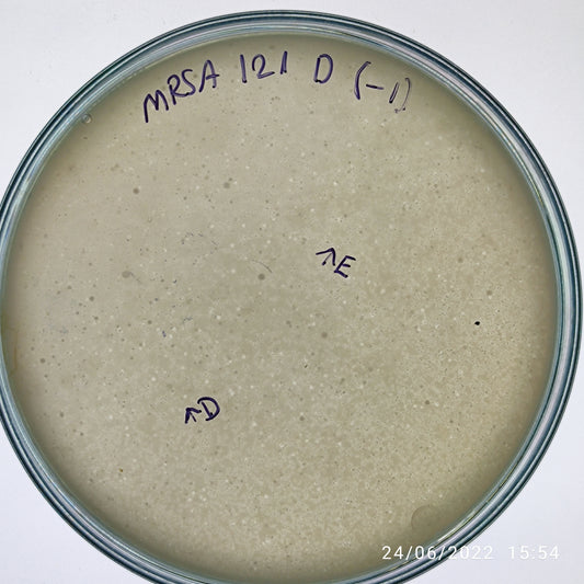 Staphylococcus aureus bacteriophage 150121E