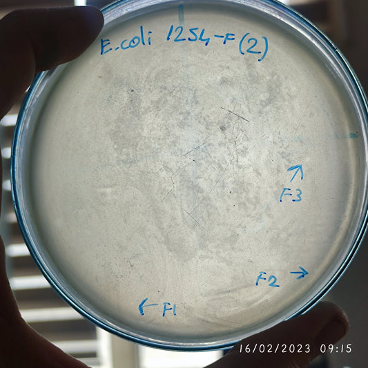 Escherichia coli bacteriophage 101254F