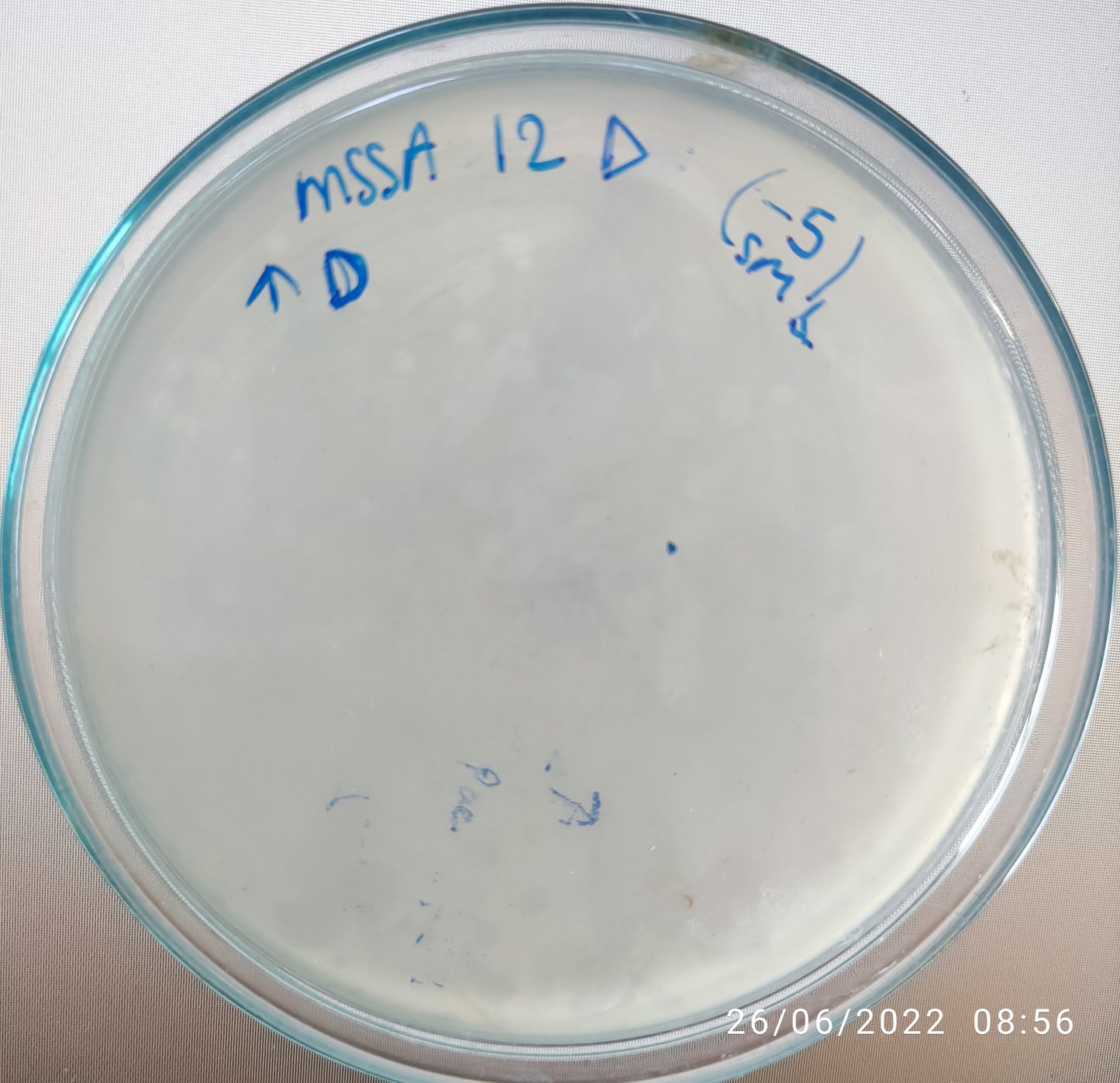 Staphylococcus aureus bacteriophage 150012D