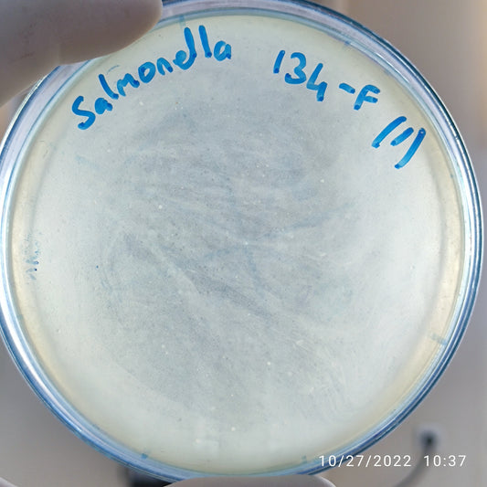 Salmonella bacteriophage 200134F
