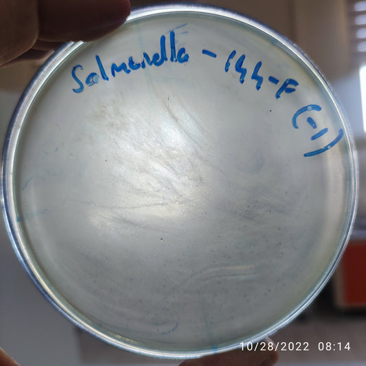 Salmonella bacteriophage 200144F